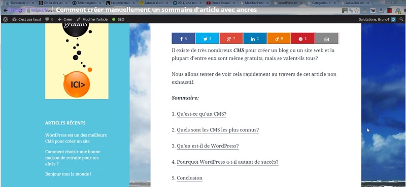Découvrez un tutoriel vidéo dans lequel je vous montre comment créer des sommaires avec liens ancrés vers les sous-titres sur ses articles.